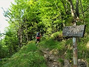 10 Alla partenza del Canalino dei sassi nei pressi delle Foppelle di Camerata Cornello